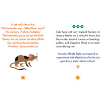 Cat-A-Pult additional image