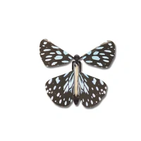 Wind Up Australian Butterfly additional image