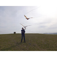 Pterodactyl Jurassic Kite additional image