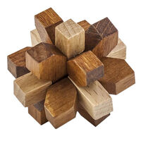 Project Genius Curated Collection 5 Puzzle Pack additional image