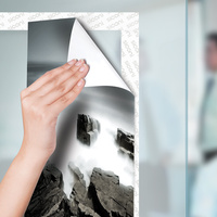 Siconi Sticky Strip Pigas additional image