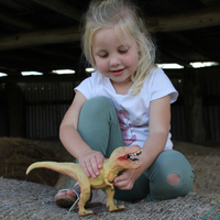 Soft PVC Tyrannosaurus Rex additional image