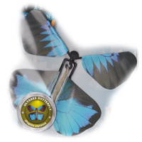 Wind Up Australian Butterfly additional image