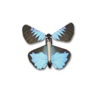 Wind Up Australian Butterfly additional image