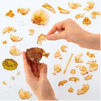 3D Triceratops Crystal Puzzle additional image