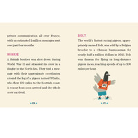 Mini Office Messenger Pigeon Mini Kit additional image