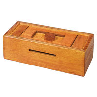 Mysterious Puzzle Box additional image