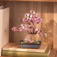 Rolife Sakura Bonsai Model Kit additional image