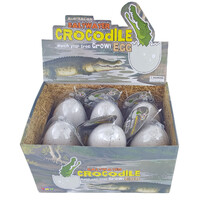 6 Pack Hatching Crocodile Eggs main image