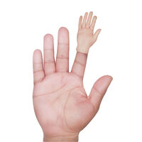 Finger Hands Finger Puppet main image