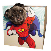 Animal Adventures Pet Photobooth main image