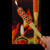 BBQ Lighter main image