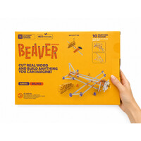 Beaver Models Kit