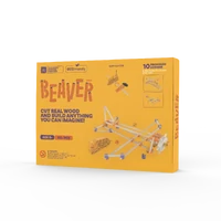 Beaver Models Kit