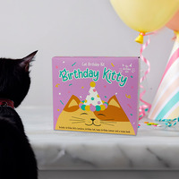 Birthday Kitty Cat Birthday Kit main image