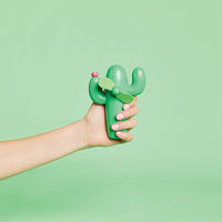 Cactus Beach Fan main image