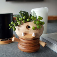 Cyclops Wooden Plant Container main image
