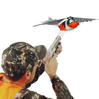 Duck Hunter main image