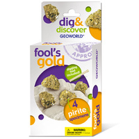 Dig and Discover - Fool's Gold main image