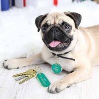 Dog Person Keychain and Pet Tag main image