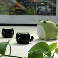 Frog and Tadpole Tea Set