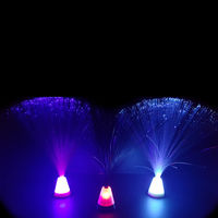 Fibre Optic Lamp main image