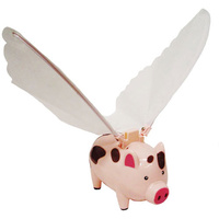 Flying Pig main image