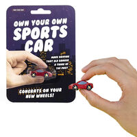 Own Your Own Sports Car main image