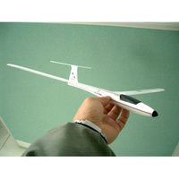 Hand Launch Glider main image