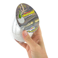 Hatching Crocodile Egg