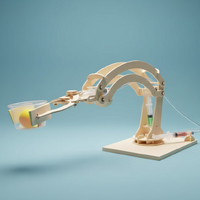 Hydraulic Robotic Arm