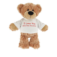 I Love You More Than Chocolate Bear main image
