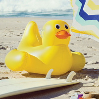 Inflatable Duck main image