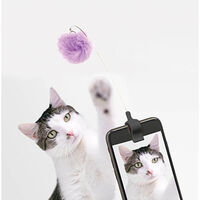 Kitty Phone Clip main image