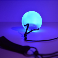 LED Poi Ball