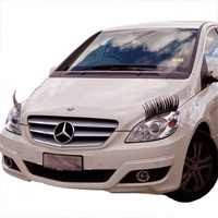 Lashes for Cars main image