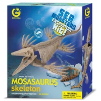 Mosasaurus Excavation Kit main image