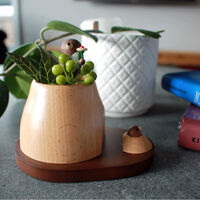 Marmot Wooden Plant Container main image
