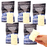 Astronaut Ice Cream 5 Pack