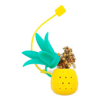 Pineapple Tea Filter main image
