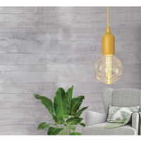 Pull On Edison Light main image