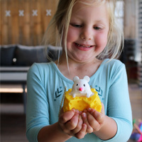 Pop Up Mouse in the Cheese main image