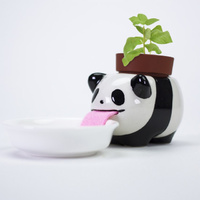 Peropon Self Watering Panda with Basil main image