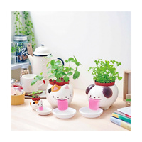 Peropon PAPA Self Watering Cat with Strawberry main image