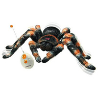 RC Tarantula main image