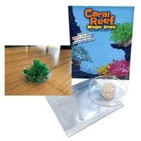 Coral Reef Magic Rock