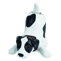 Solar Puppy Spot main image