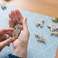 UGears Pacific Ocean UFidgets