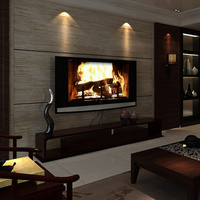 Virtual Fireplace DVD main image