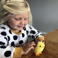 Wind Up Mini Chick